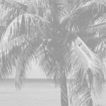 Appel à communication Colloque EUTIC 2015