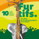 Furtifs. À l’affût de la photographie animalière