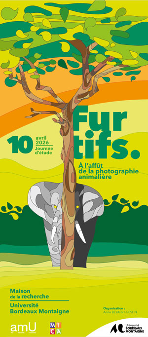 You are currently viewing Furtifs. À l’affût de la photographie animalière